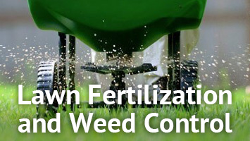 rays website service blocks - lawn fertilization and weed control